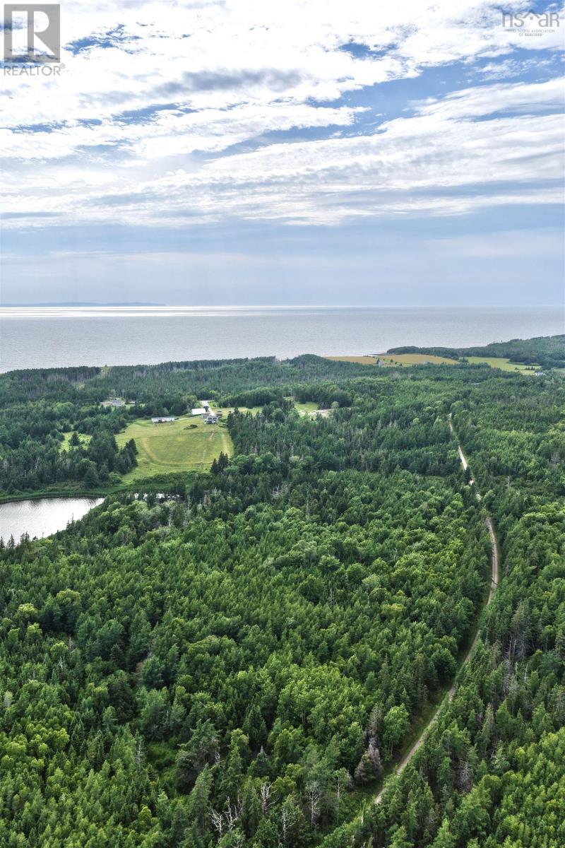 Lot 24-1 Shore Road, Judique, Nova Scotia  B0E 1P0 - Photo 7 - 202528413