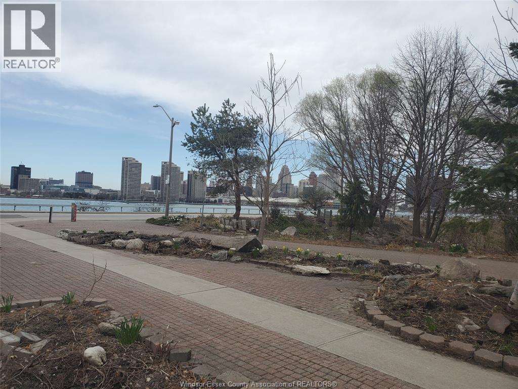 161 Cameron Avenue, Windsor, Ontario  N9B 1Y5 - Photo 41 - 25029356