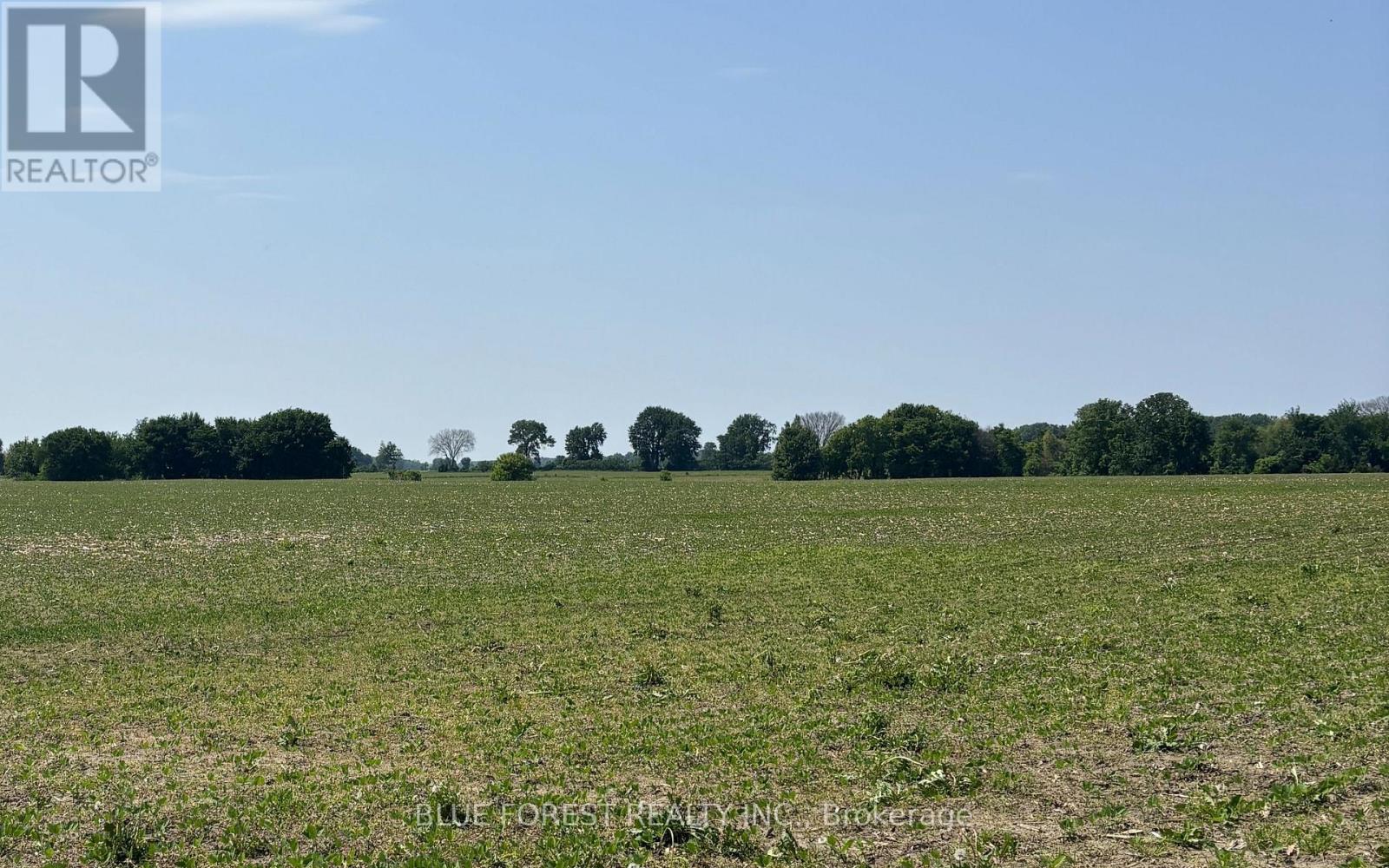 0 Downie Road, Dawn-Euphemia, Ontario  N0P 1C0 - Photo 1 - X12567546