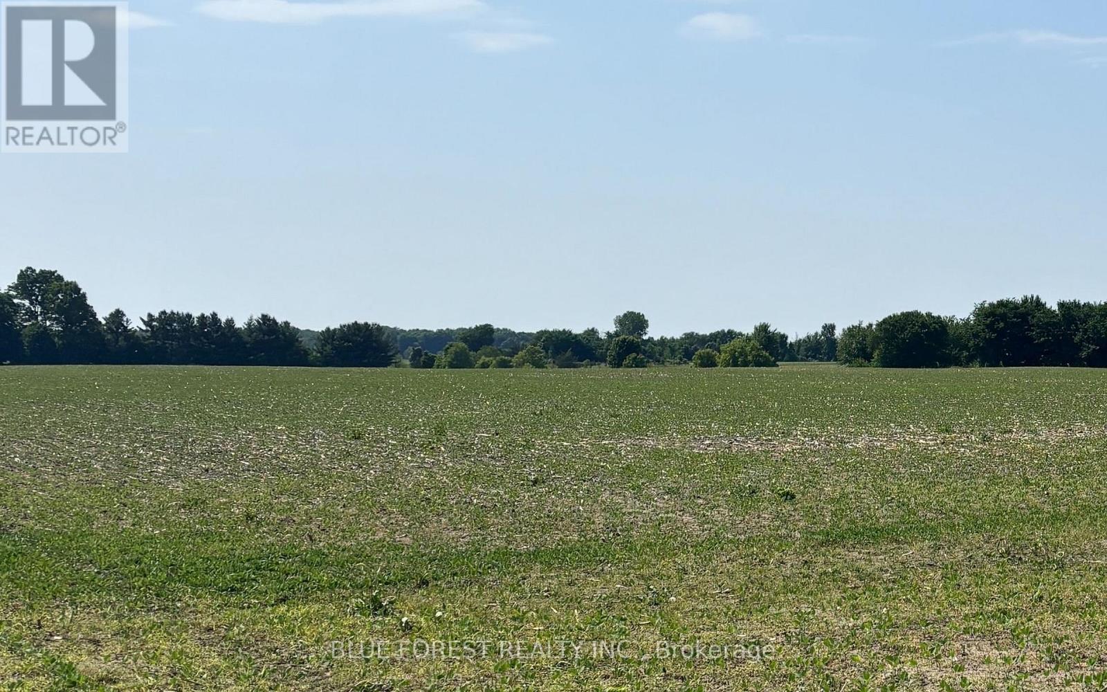 0 Downie Road, Dawn-Euphemia, Ontario  N0P 1C0 - Photo 2 - X12567546