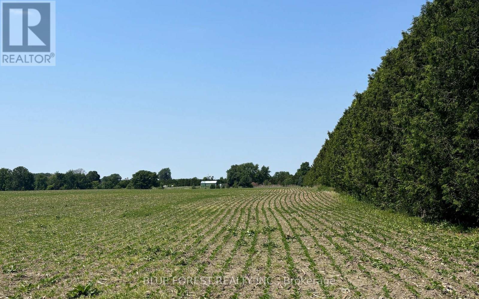 0 Downie Road, Dawn-Euphemia, Ontario  N0P 1C0 - Photo 3 - X12567546