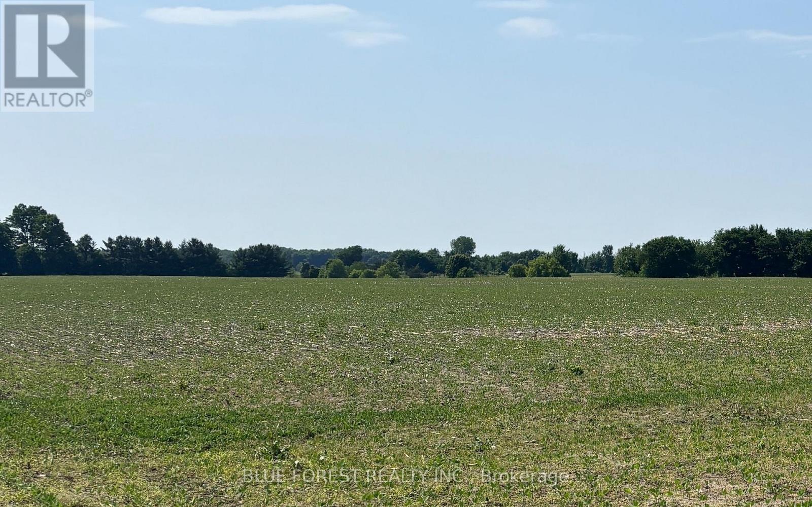 0 Downie Road, Dawn-Euphemia, Ontario  N0P 1C0 - Photo 2 - X12567550