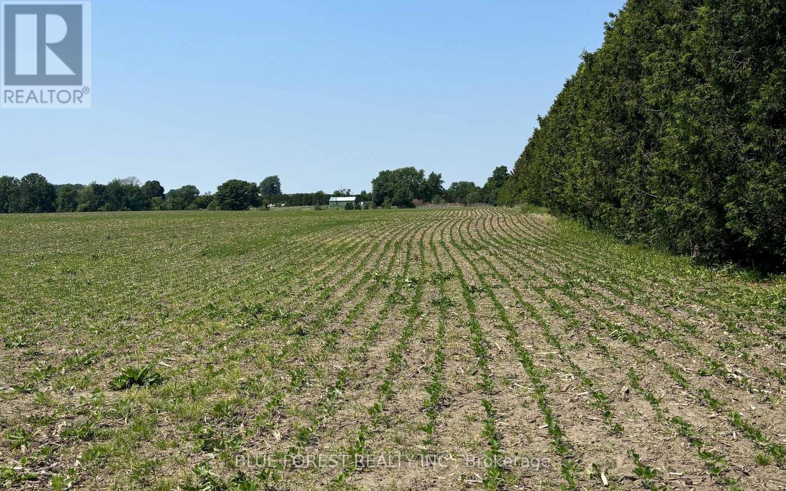 0 Downie Road, Dawn-Euphemia, Ontario  N0P 1C0 - Photo 3 - X12567550