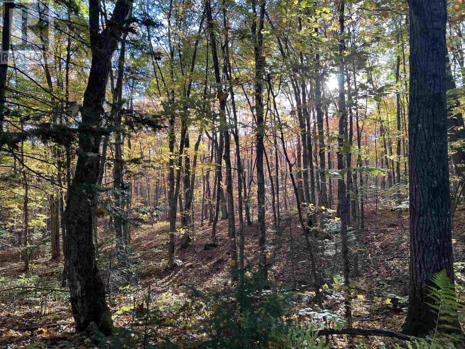 59 Scheuermann Rd, Huron Shores, Ontario  P0R 1L0 - Photo 11 - SM252974