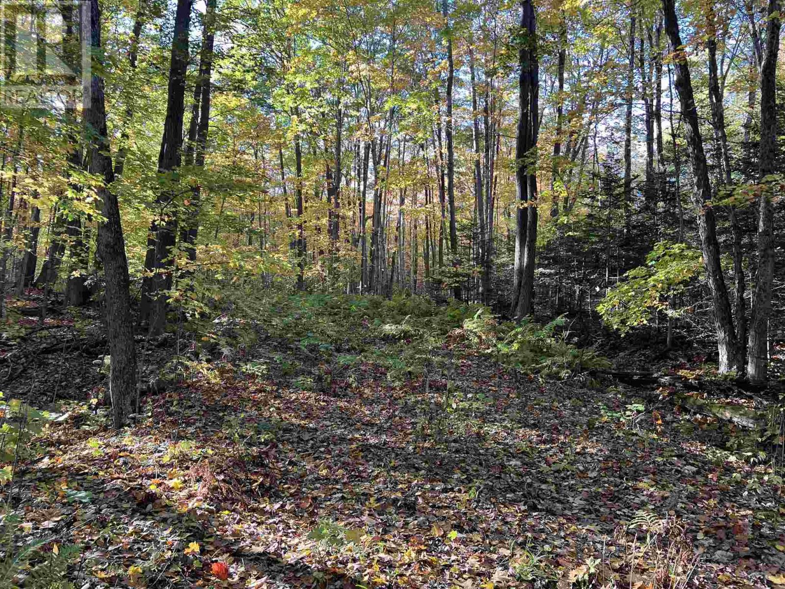 59 Scheuermann Rd, Huron Shores, Ontario  P0R 1L0 - Photo 12 - SM252974