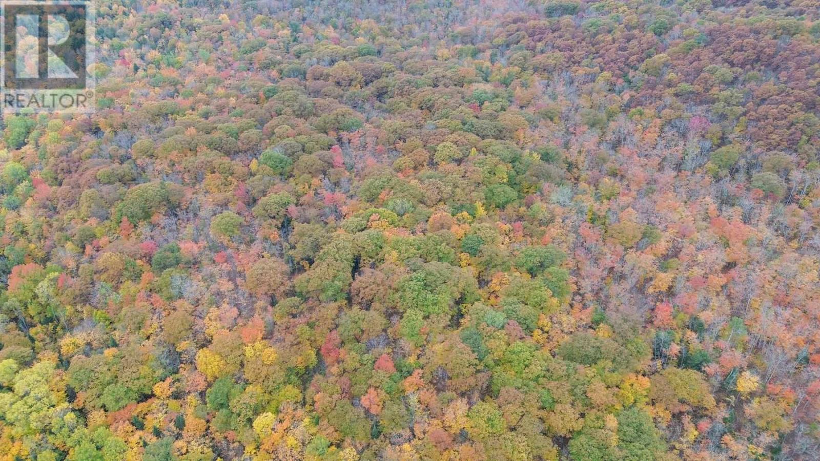 59 Scheuermann Rd, Huron Shores, Ontario  P0R 1L0 - Photo 24 - SM252974