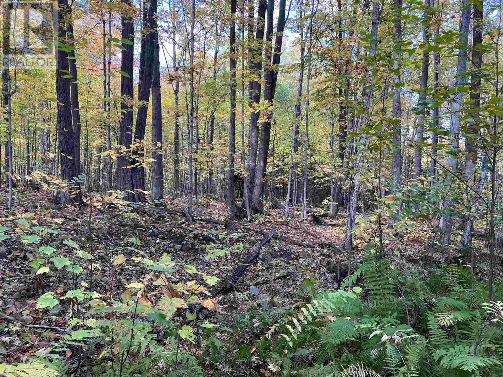 59 Scheuermann Rd, Huron Shores, Ontario  P0R 1L0 - Photo 35 - SM252974