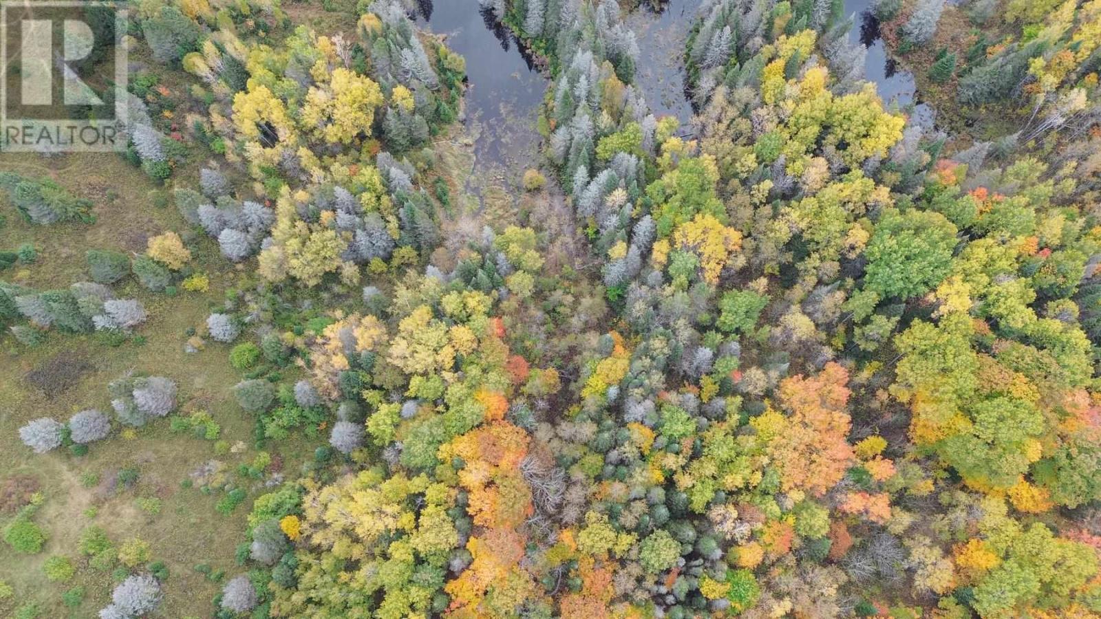 59 Scheuermann Rd, Huron Shores, Ontario  P0R 1L0 - Photo 28 - SM252974