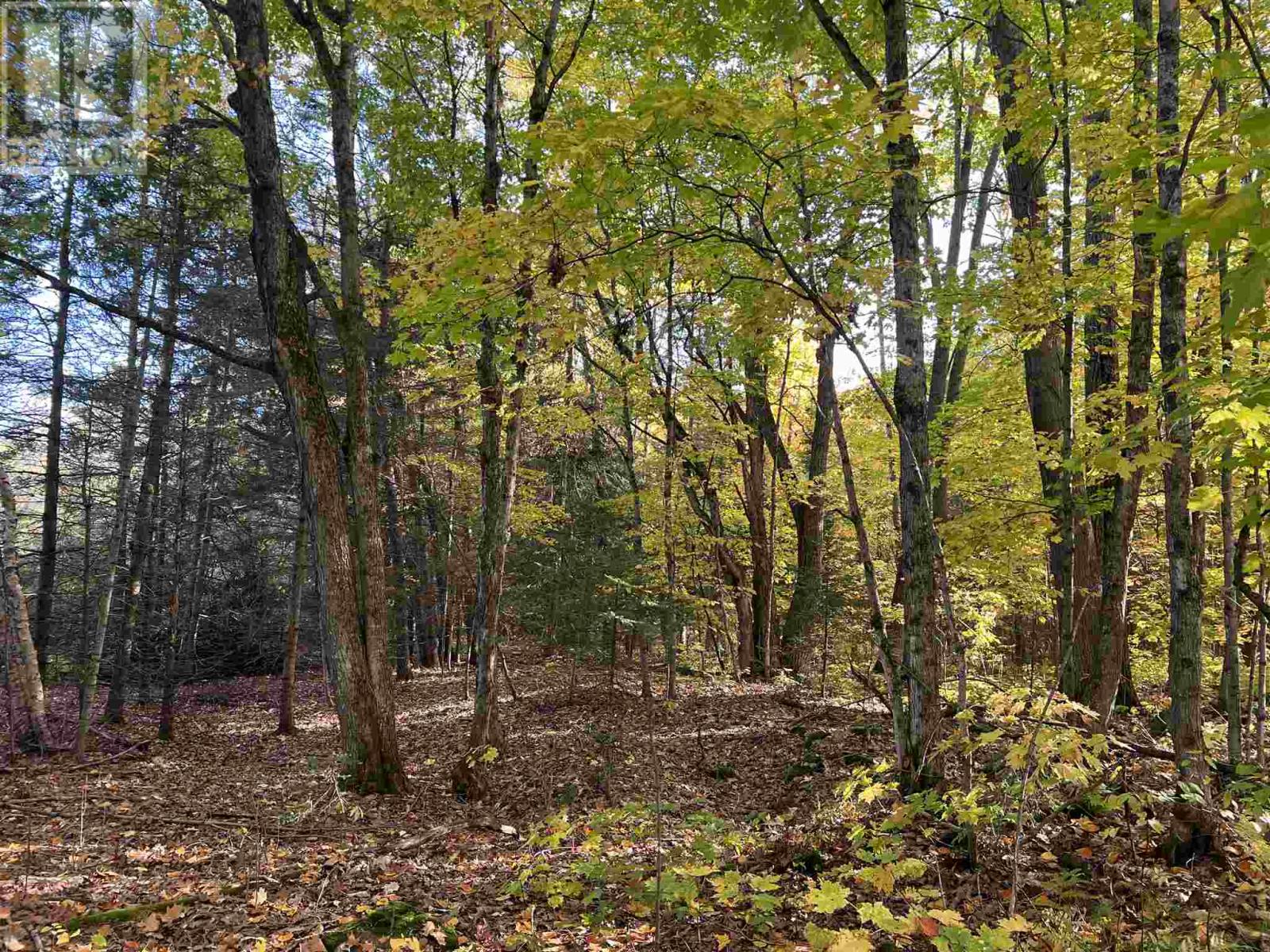 59 Scheuermann Rd, Huron Shores, Ontario  P0R 1L0 - Photo 36 - SM252974