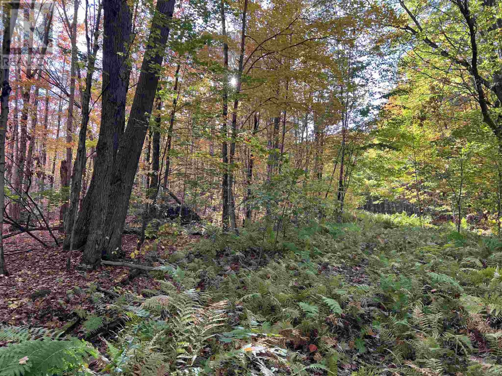 59 Scheuermann Rd, Huron Shores, Ontario  P0R 1L0 - Photo 37 - SM252974