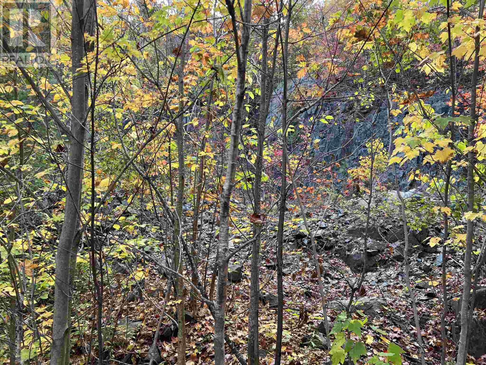 59 Scheuermann Rd, Huron Shores, Ontario  P0R 1L0 - Photo 41 - SM252974