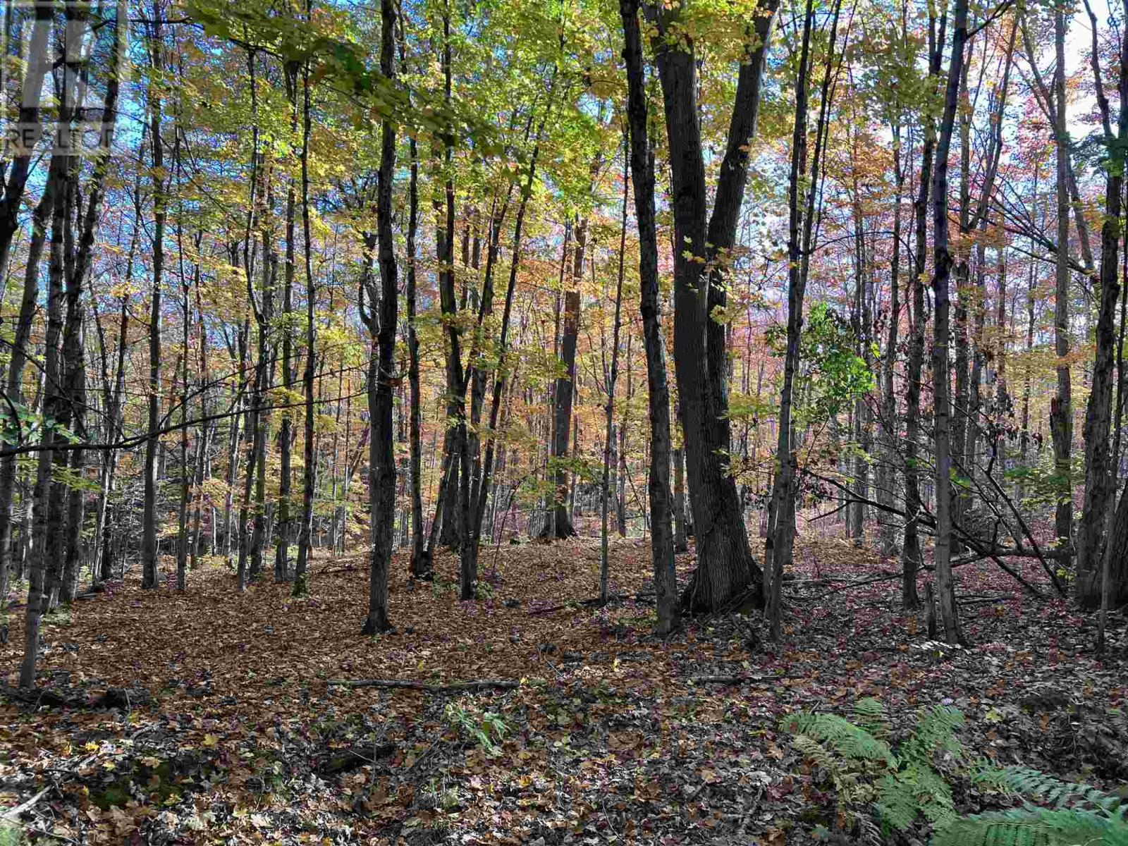 59 Scheuermann Rd, Huron Shores, Ontario  P0R 1L0 - Photo 8 - SM252974