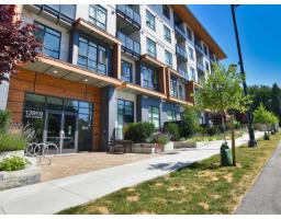 417 13969 96 AVENUE, Surrey, British Columbia