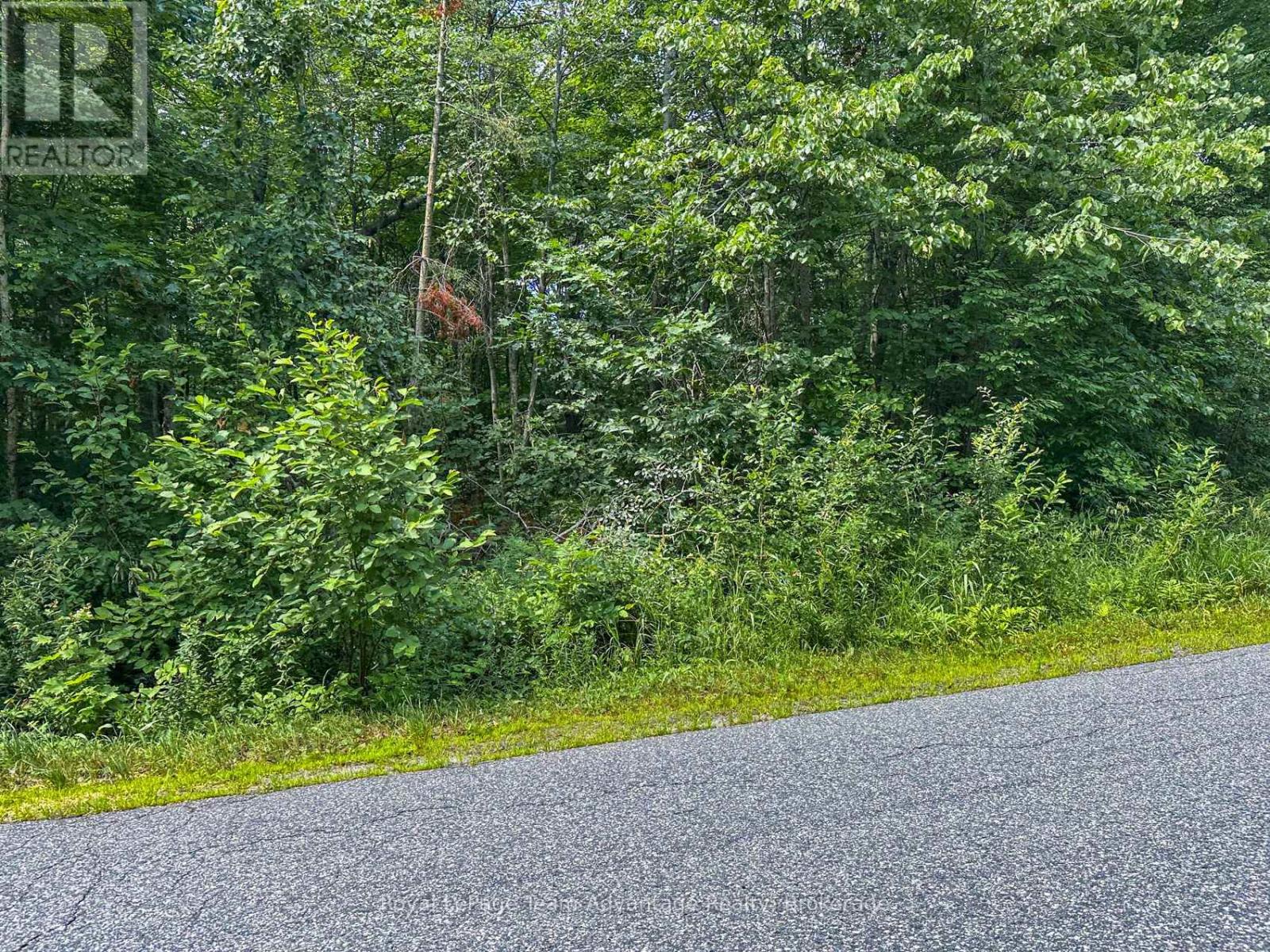 25 Long Lake Estates - Part 2 Road, Mcdougall, Ontario  P2A 2W7 - Photo 14 - X12319870