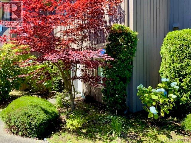 2 240 Higson Cres, Qualicum Beach, British Columbia  V9K 1T5 - Photo 24 - 1020324