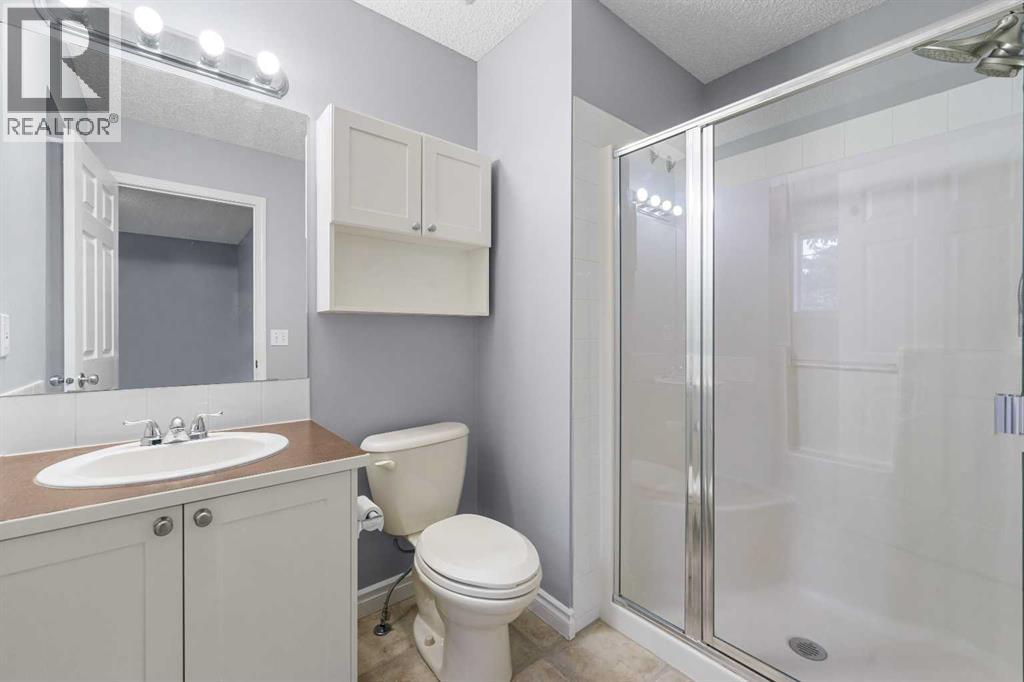 118 Copperfield Lane Se, Calgary, Alberta T2Z 4T3 - Photo 28 - A2271482