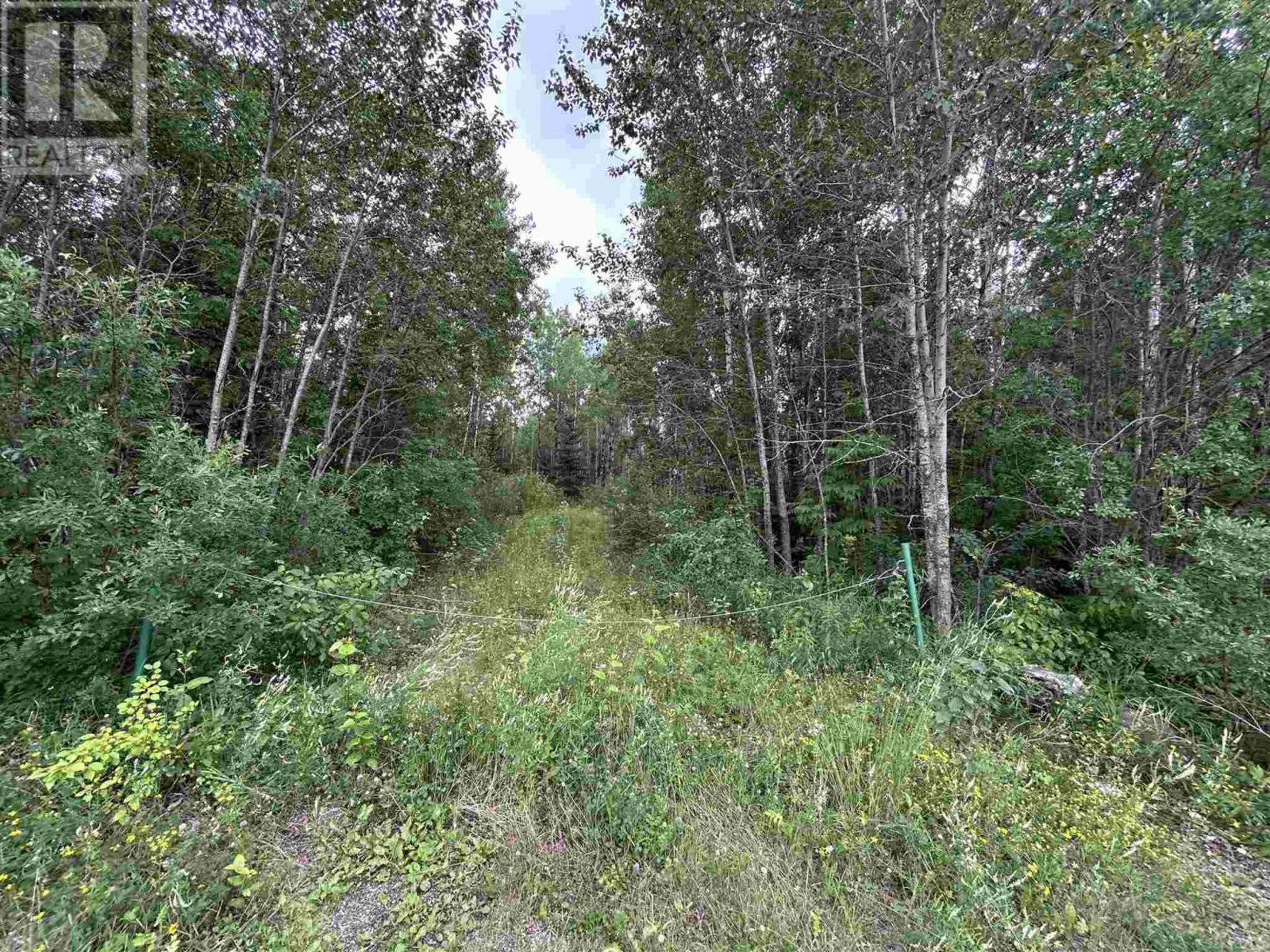 905 Frog Creek RD, Alberton, Ontario