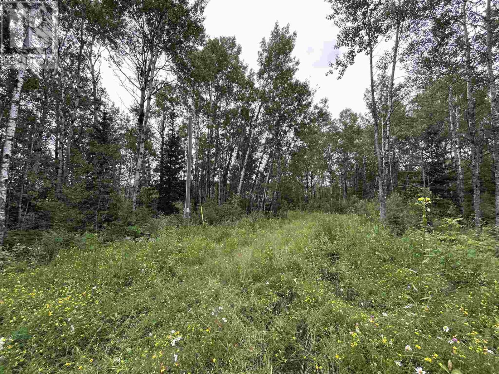 905 Frog Creek Rd, Alberton, Ontario  P9A 3M2 - Photo 10 - TB252155