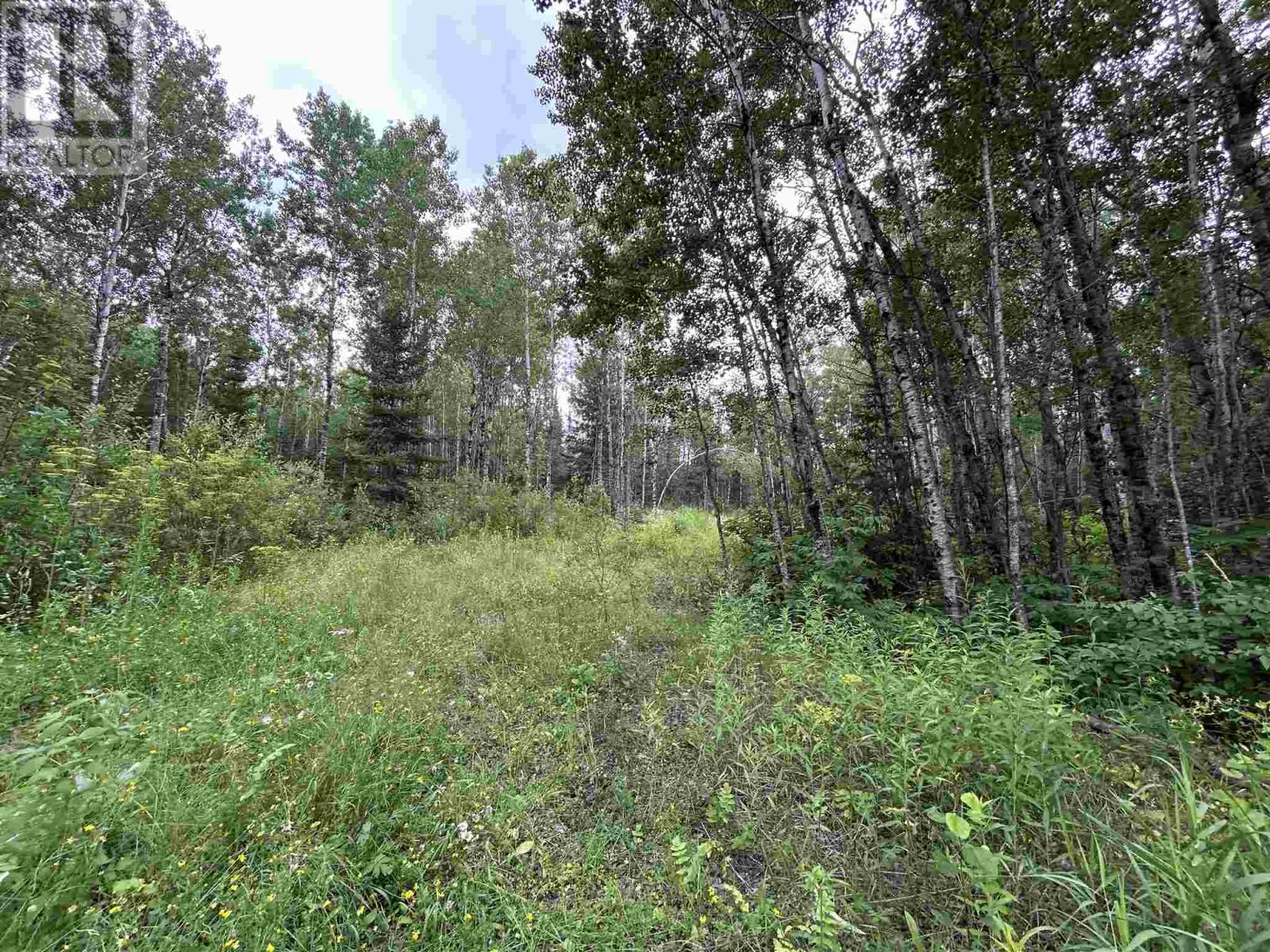 905 Frog Creek Rd, Alberton, Ontario  P9A 3M2 - Photo 5 - TB252155