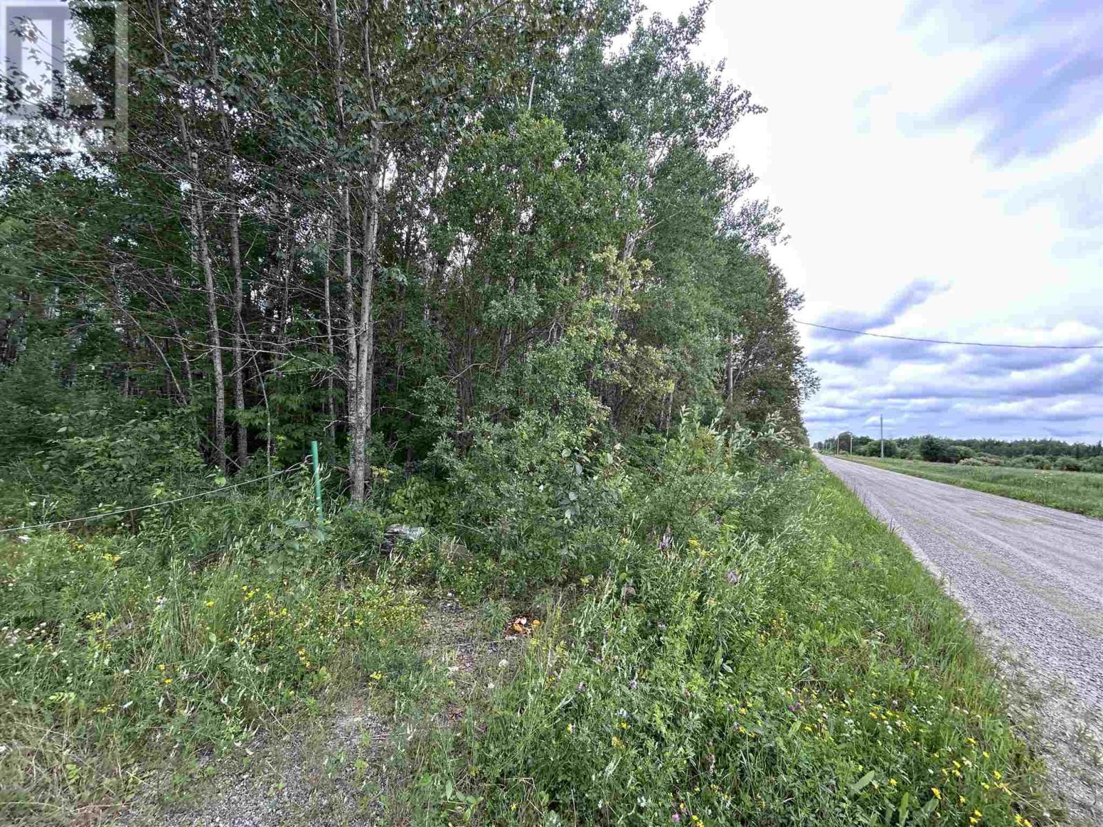 905 Frog Creek Rd, Alberton, Ontario  P9A 3M2 - Photo 2 - TB252155