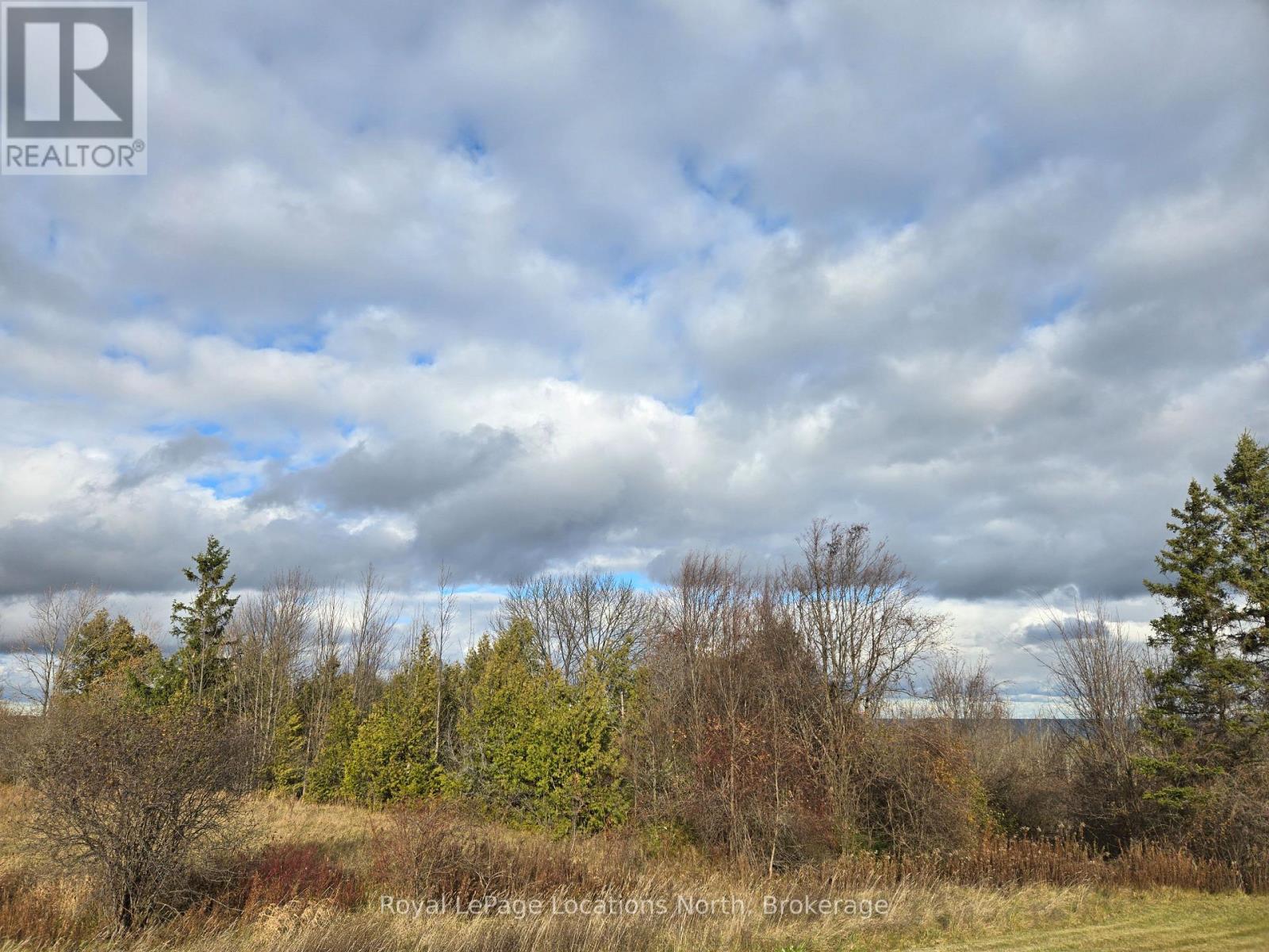 133 Scotia Drive, Meaford, Ontario  N4L 0A7 - Photo 3 - X12567800