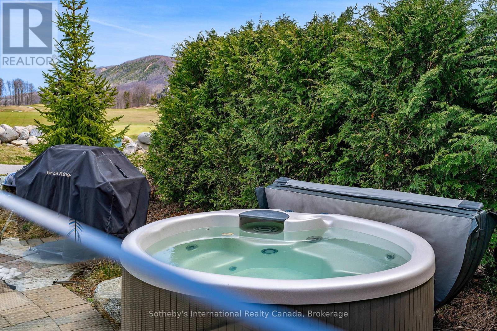 155 Georgian Bay Lane, Blue Mountains, Ontario  N0H 1J0 - Photo 42 - X12567964