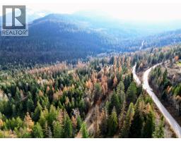 766 Drakes Road, rossland, British Columbia