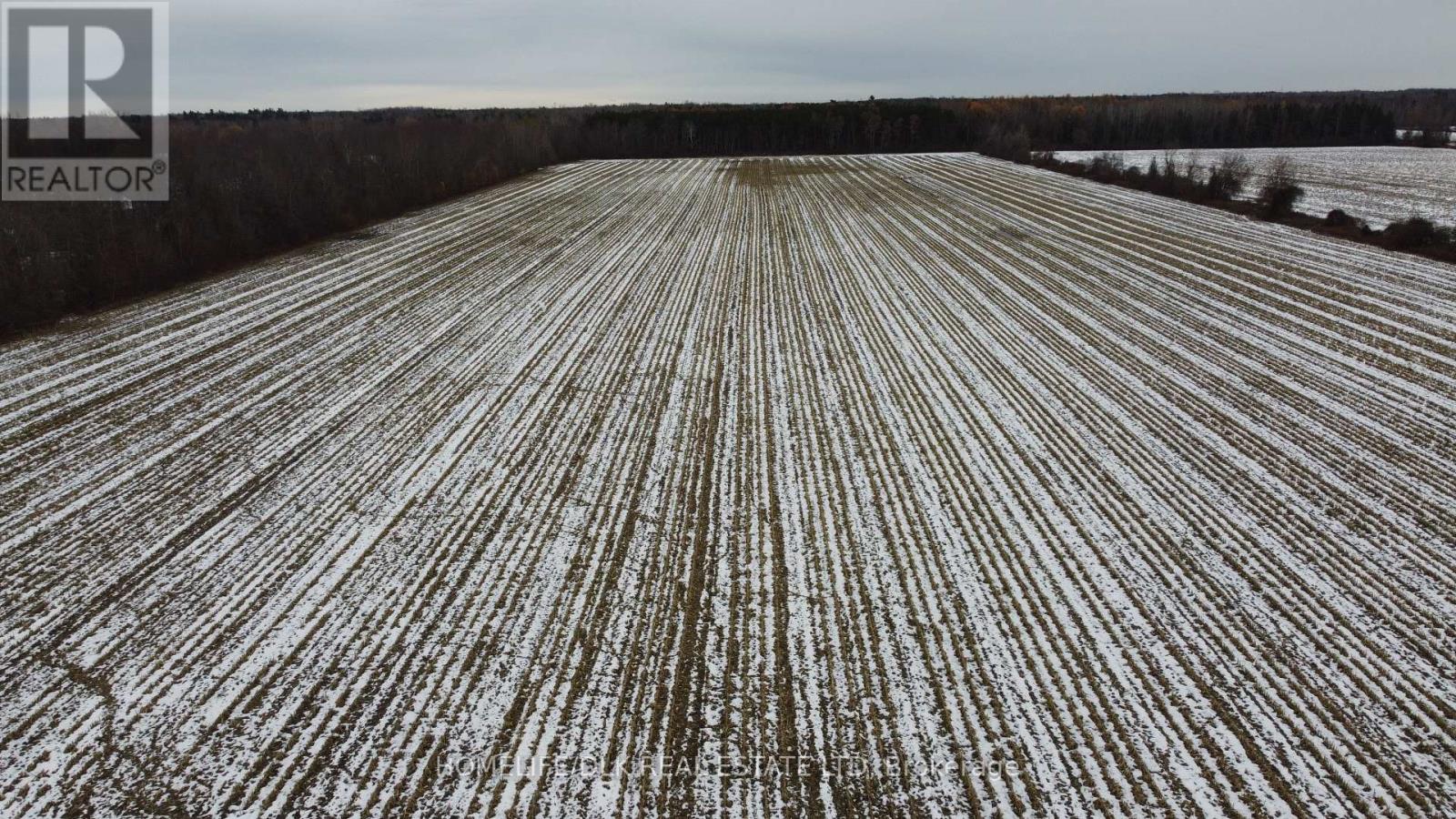 906 French Settlement Road, North Grenville, Ontario  K0G 1J0 - Photo 6 - X12544940