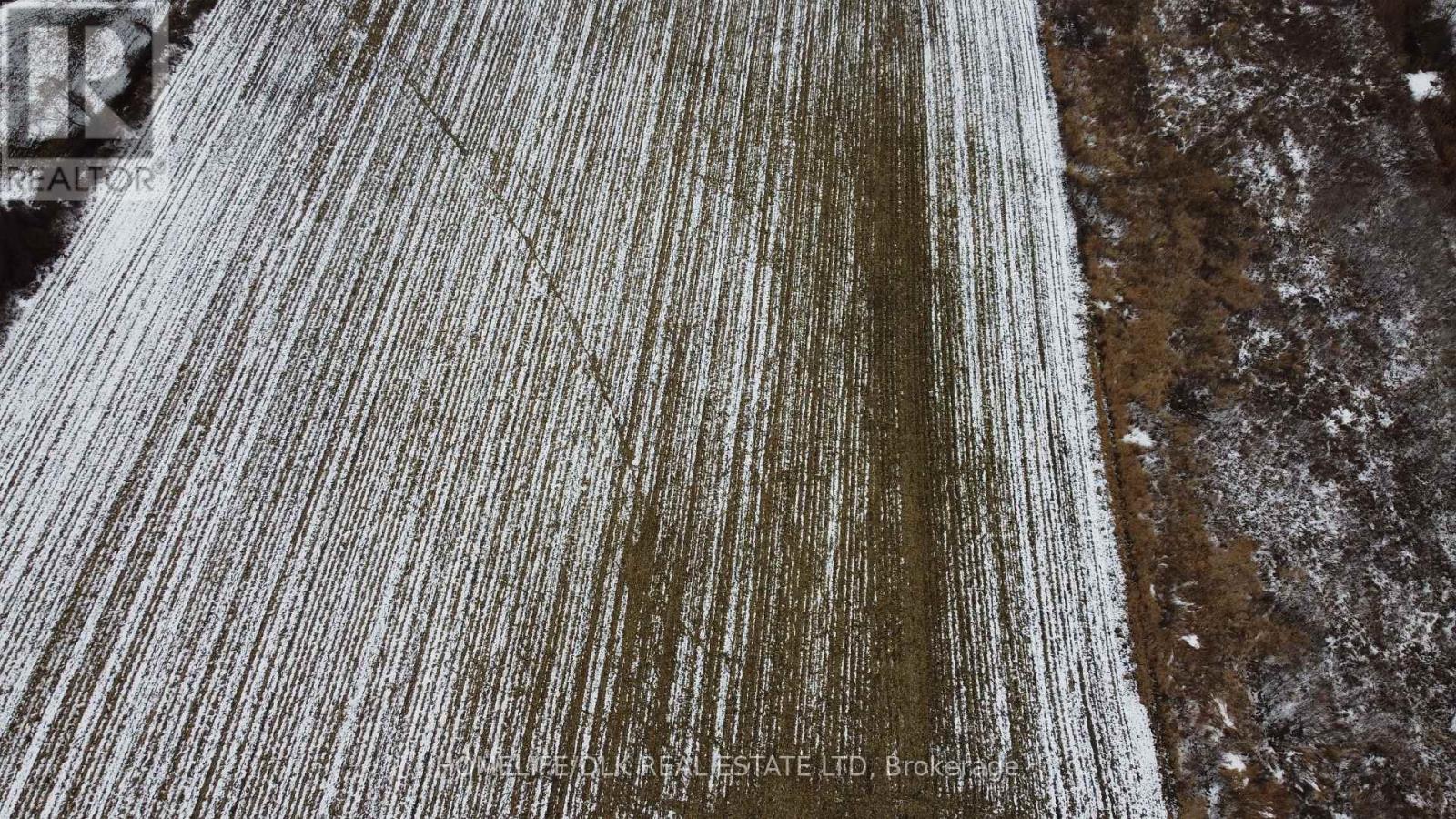 906 French Settlement Road, North Grenville, Ontario  K0G 1J0 - Photo 7 - X12544940