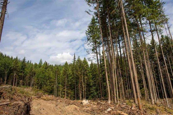 11533 Wilson Street, Mission, British Columbia  V4S 1M1 - Photo 5 - R3069287