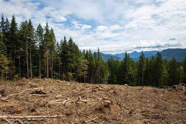 11533 Wilson Street, Mission, British Columbia  V4S 1M1 - Photo 3 - R3069287