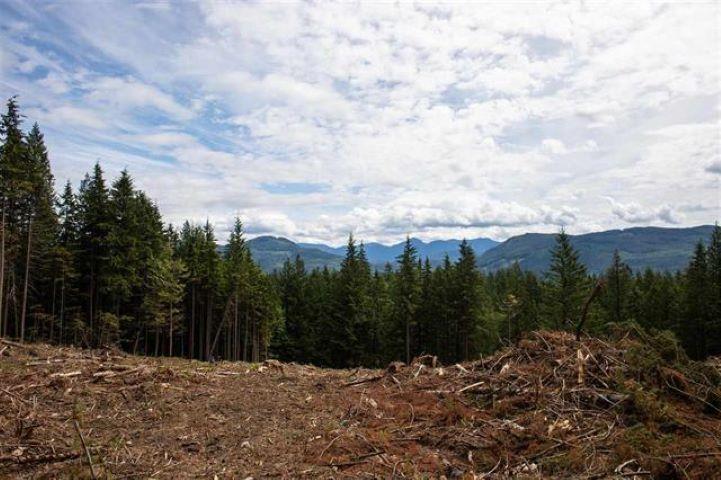 11533 Wilson Street, Mission, British Columbia  V4S 1M1 - Photo 9 - R3069287