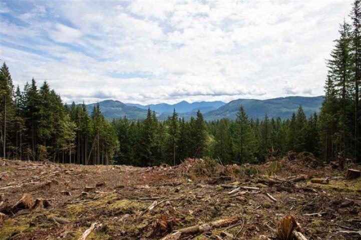 11533 Wilson Street, Mission, British Columbia  V4S 1M1 - Photo 7 - R3069287