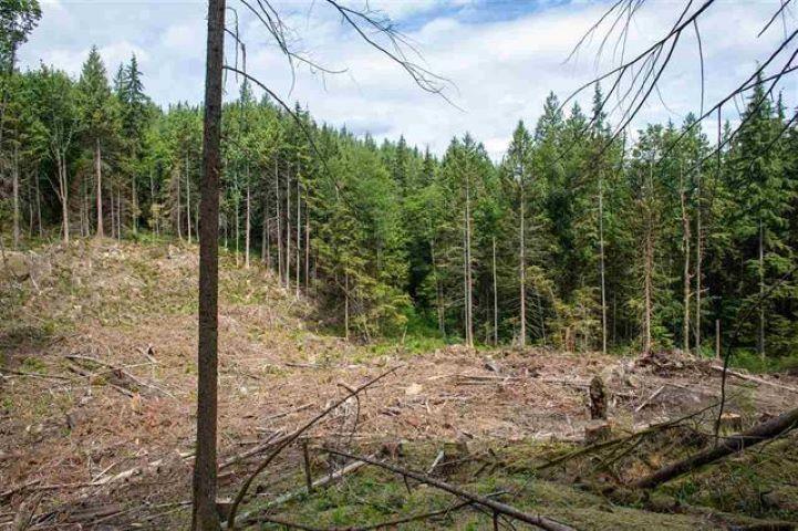 11533 Wilson Street, Mission, British Columbia  V4S 1M1 - Photo 2 - R3069287