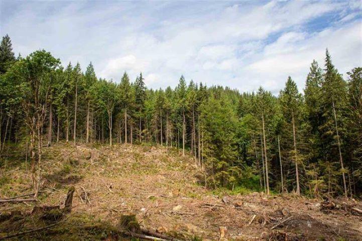 11533 Wilson Street, Mission, British Columbia  V4S 1M1 - Photo 8 - R3069287