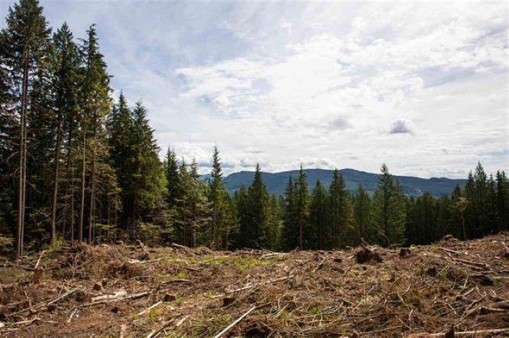 11533 Wilson Street, Mission, British Columbia  V4S 1M1 - Photo 12 - R3069287