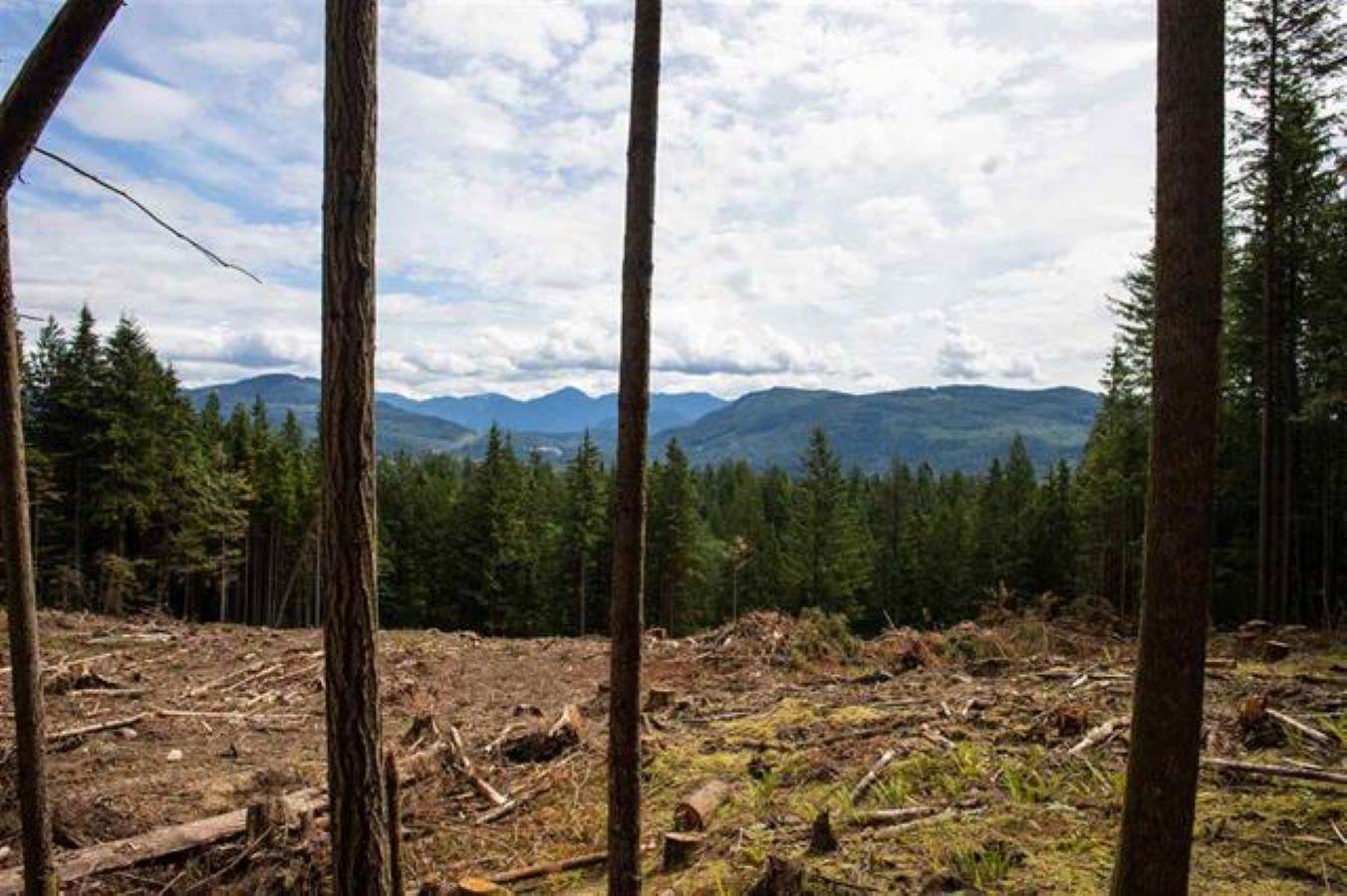 11533 WILSON STREET, Mission, British Columbia