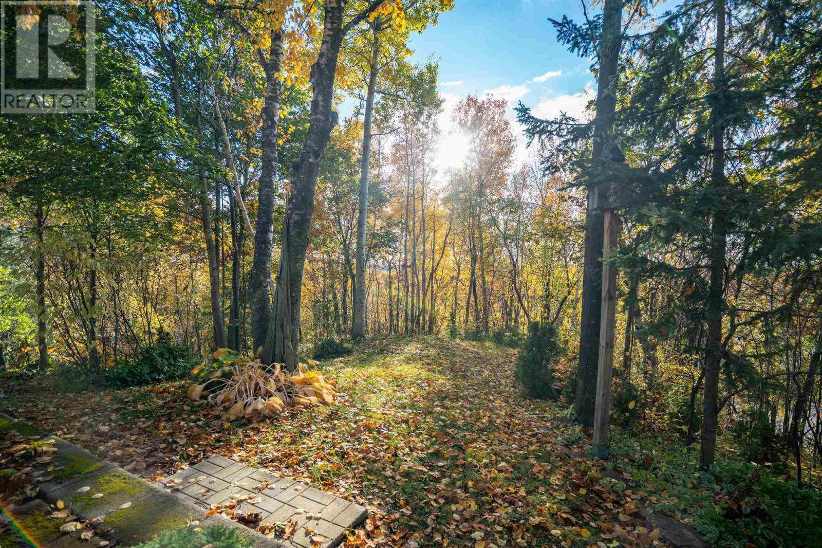 536 Morrison Ave, Sault Ste. Marie, Ontario  P6B 6L4 - Photo 8 - SM253116