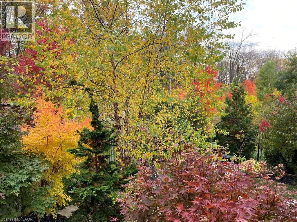 50 Attridge Crescent, Hamilton, Ontario  L8B 0T9 - Photo 45 - 40787051