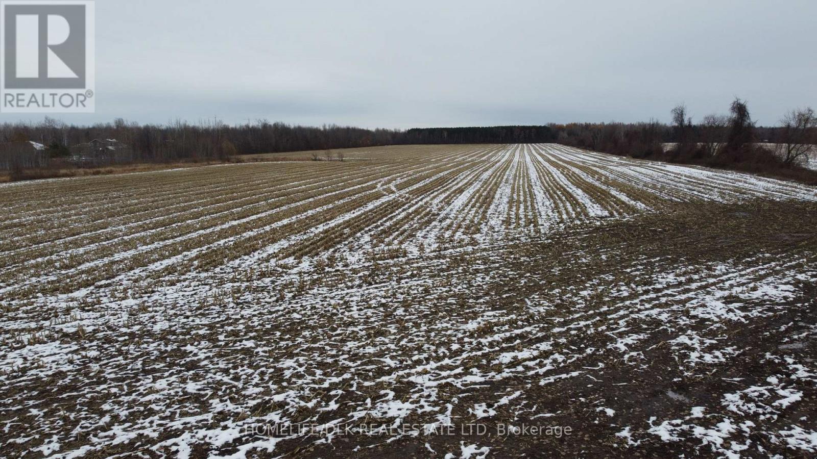 906 French Settlement Road, North Grenville, Ontario  K0G 1J0 - Photo 10 - X12544940