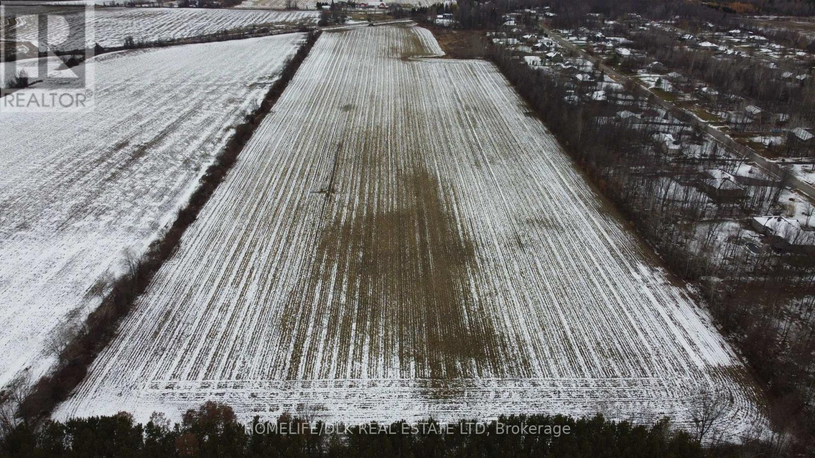 906 French Settlement Road, North Grenville, Ontario  K0G 1J0 - Photo 2 - X12544940