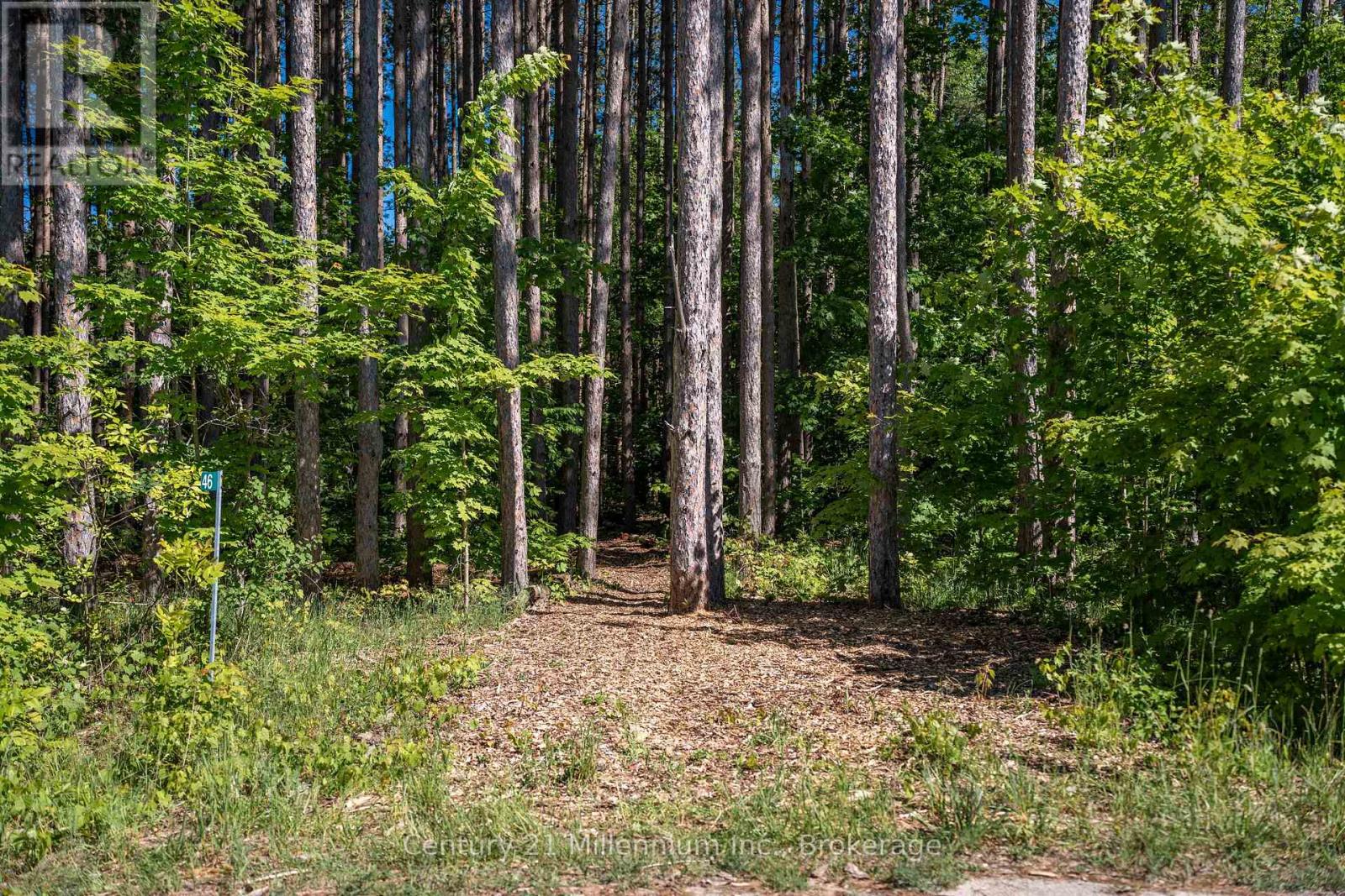 46 Riverside Place, South Bruce Peninsula, Ontario  N0H 2G0 - Photo 10 - X12568062