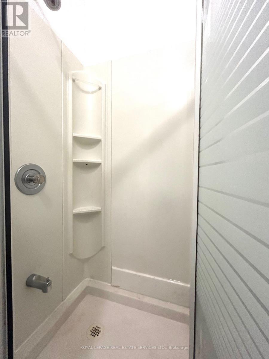 Lovely - 50 Bellevue Avenue, Toronto, Ontario  M5T 2N4 - Photo 13 - C12568228