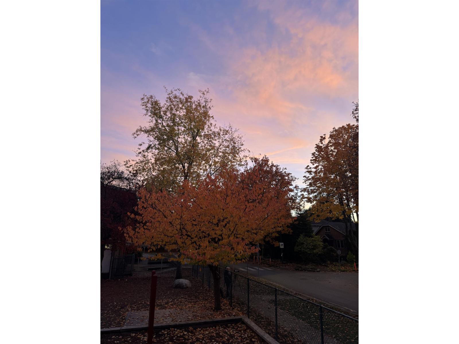 13257 14A AVENUE, Surrey, British Columbia