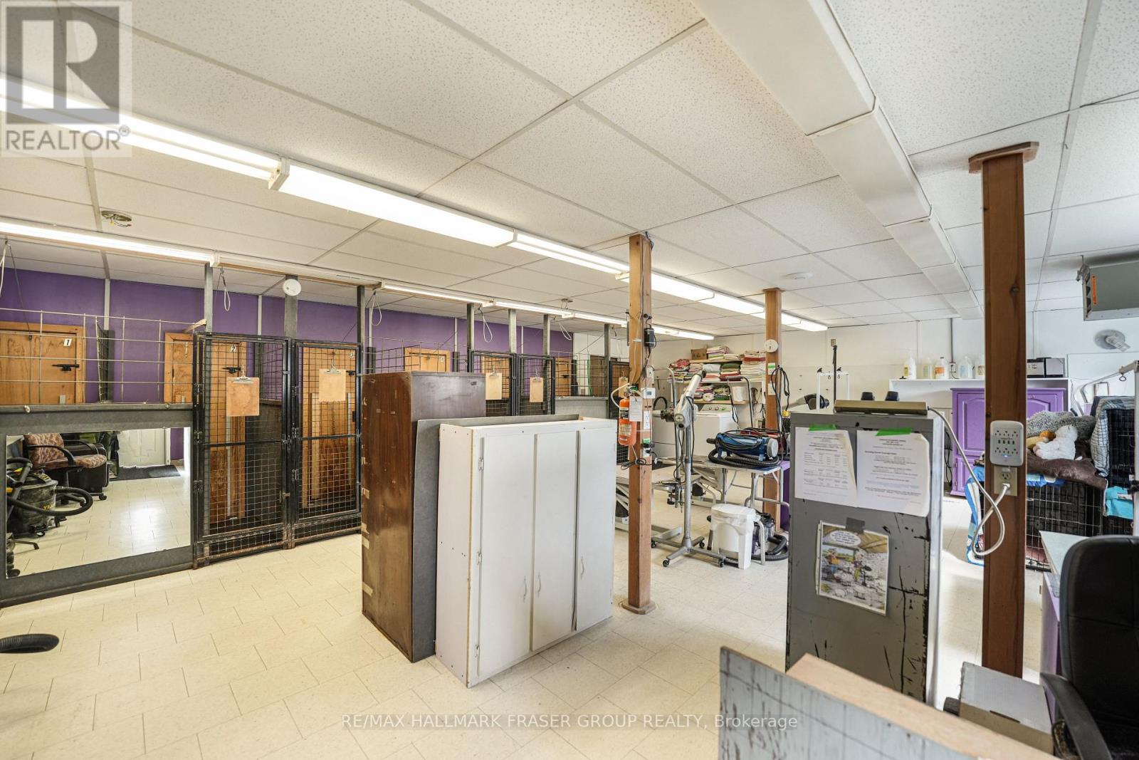 10246 Old Shiloh Road, Georgina, Ontario  L0E 1N0 - Photo 28 - N12568270