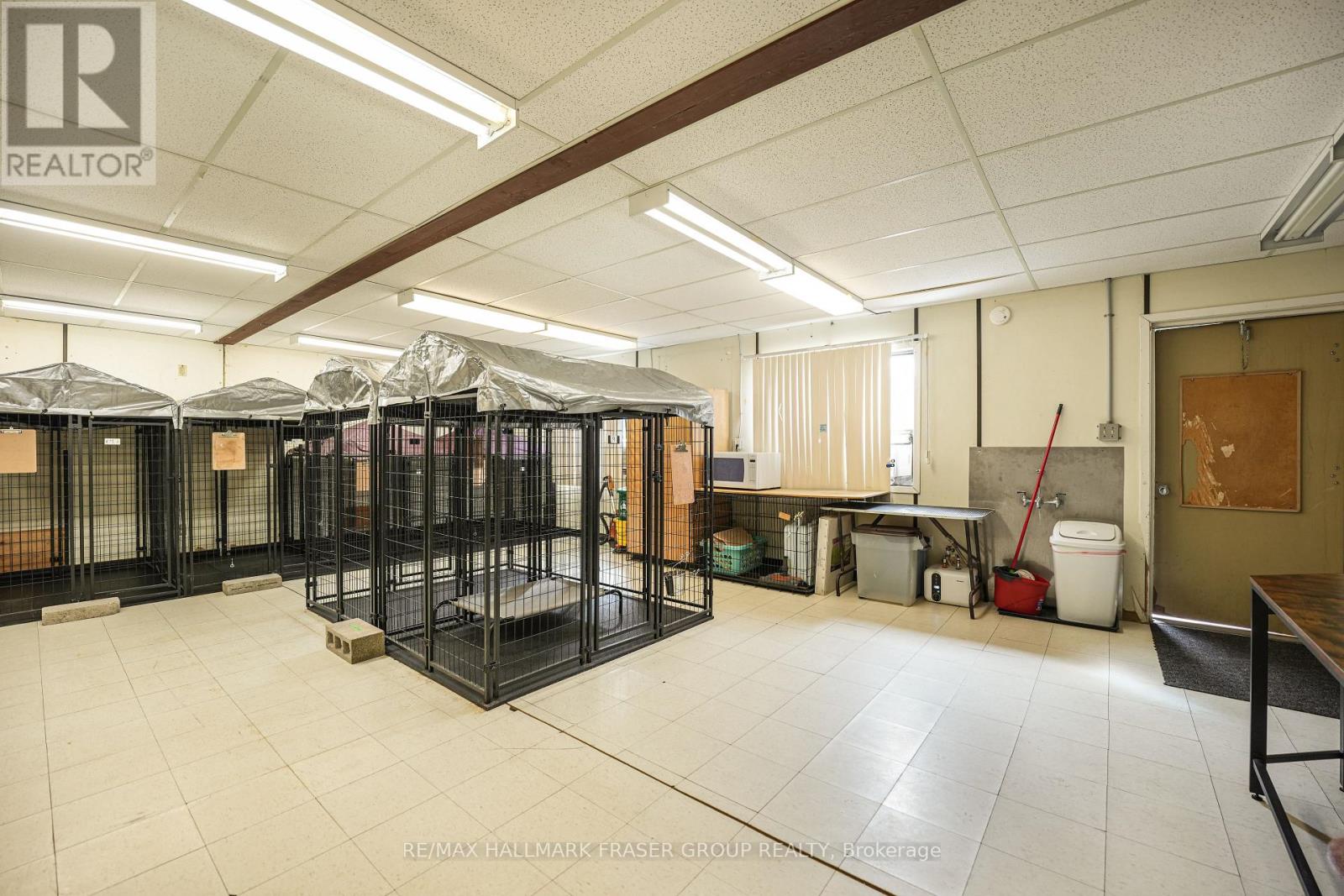 10246 Old Shiloh Road, Georgina, Ontario  L0E 1N0 - Photo 44 - N12568270