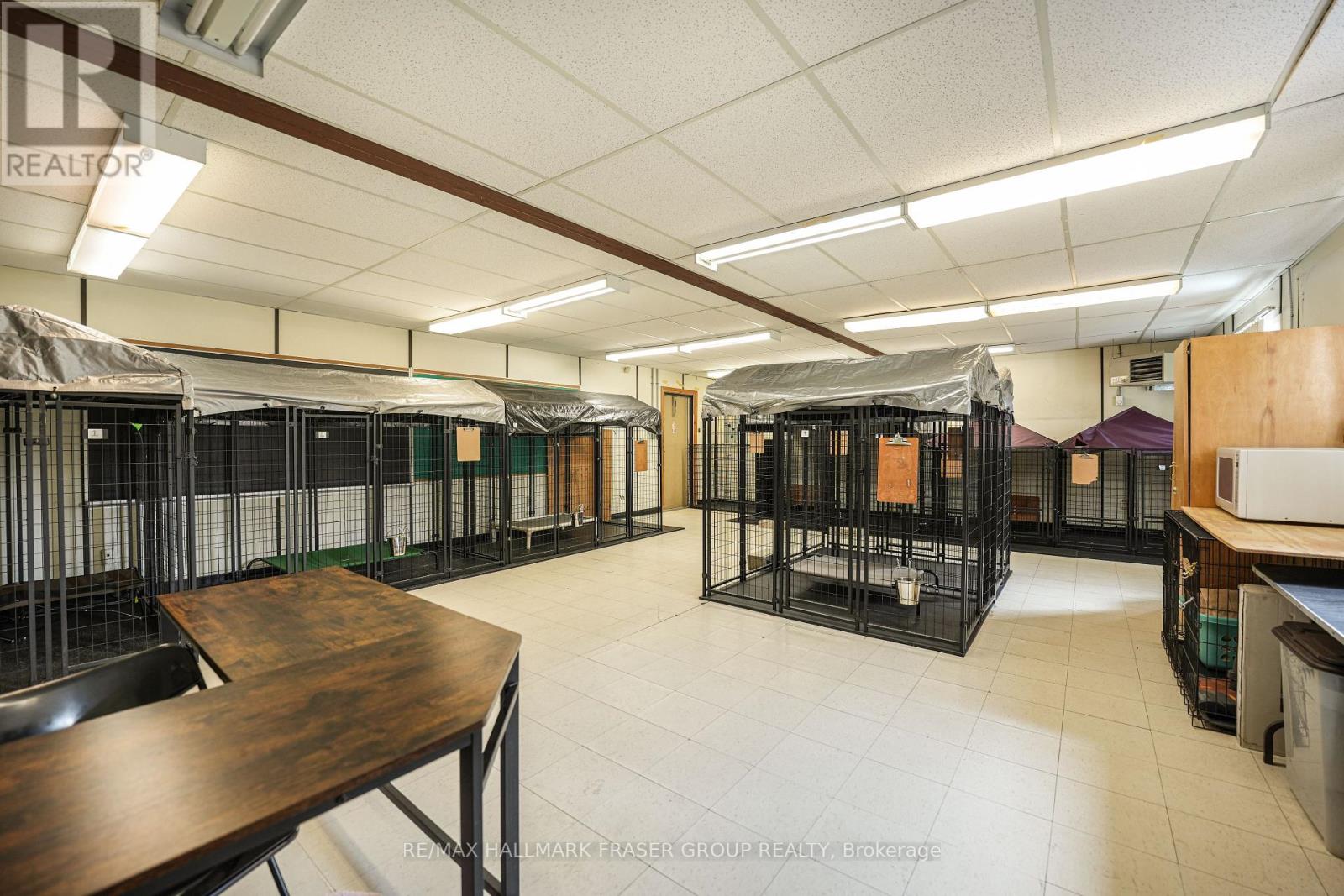 10246 Old Shiloh Road, Georgina, Ontario  L0E 1N0 - Photo 45 - N12568270