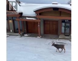 1000 North Star Drive Unit# 19, kimberley, British Columbia