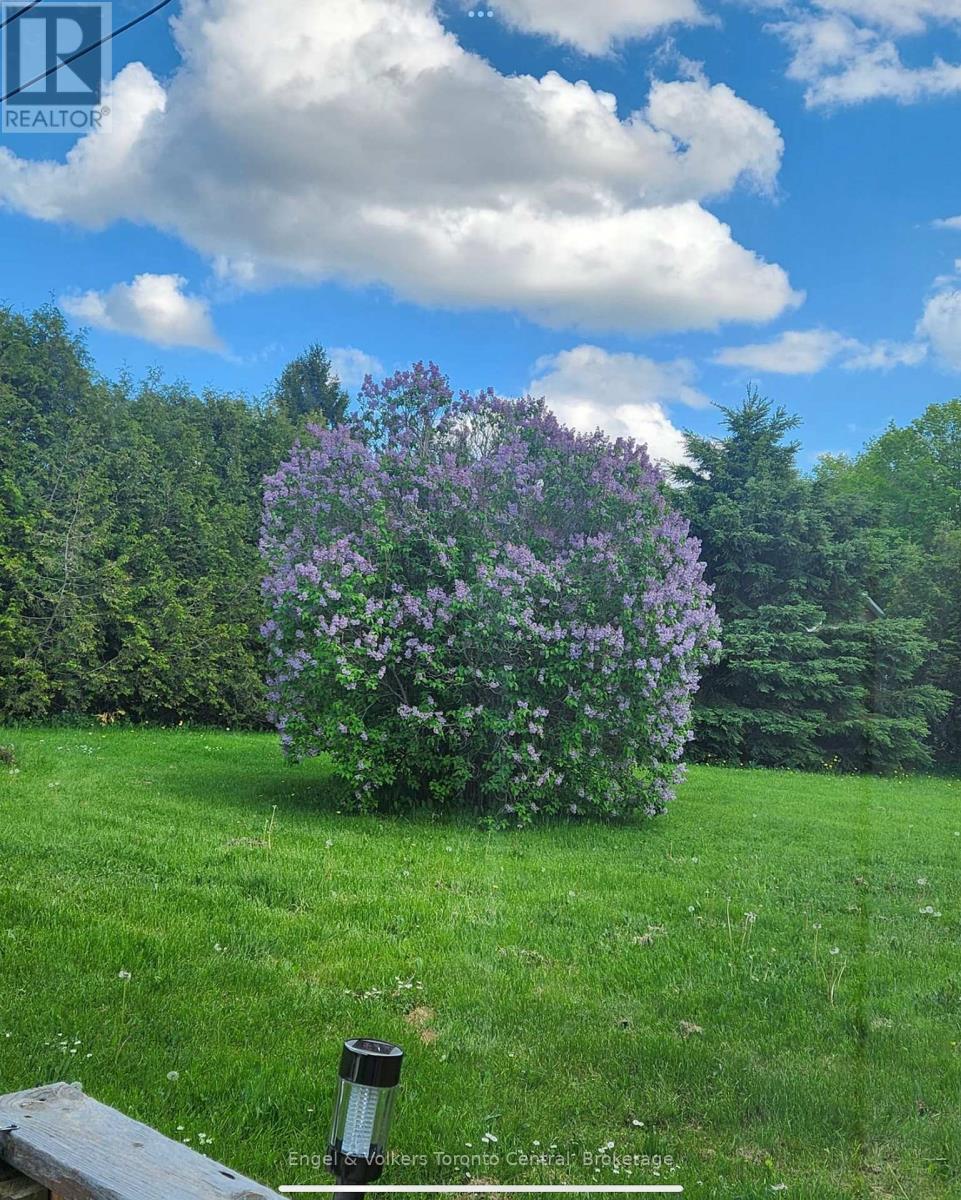 209 Evans Street, Grey Highlands, Ontario  N0C 1E0 - Photo 13 - X12501076