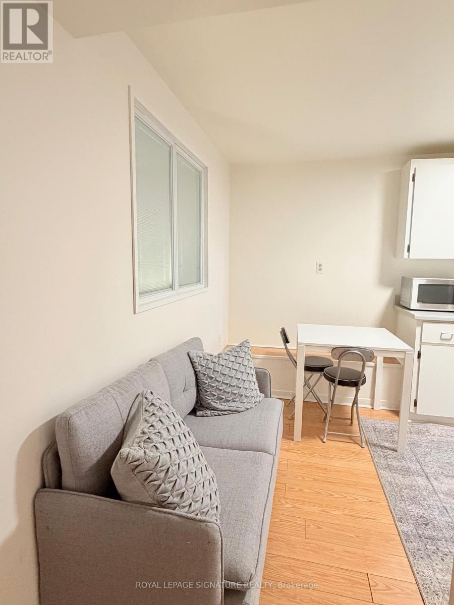 Bsmt - 490 Windermere Avenue, Toronto, Ontario  M6S 3L6 - Photo 12 - W12568398